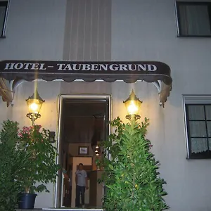airport-hotel-zum-taubengrund.hotelsheidelberg.net/